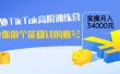 海外TikTok高阶训练营：教你做个能赚钱的账号，实操月入34000元！