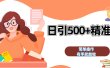 日引500+精准粉  简单操作 有手就能做