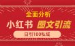 小红书图文引流，全面解析日引100私域流量是怎样做到的