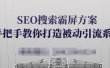 SEO搜索霸屏方案，手把手教你打造被动引流系统【视频课程】