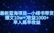 最新蓝海项目小绿书带货，爆文10w＋，收益1000＋，早入局早获益！！