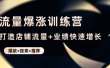 流量爆涨训练营：打造店铺流量+业绩快速增长 (爆款+搜索+推荐)