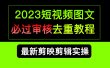 2023短视频和图文必过审核去重教程，剪映剪辑去重方法汇总实操，搬运必学