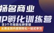 杨名商业IP孵化训练营，从商业到内容到转化一站式学 价值5980元