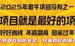 全网都在割你韭菜，我来教你做镰刀。卖项目就是最好的项目，2025年最牛互联网项目