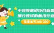 某付费文章：中视频解说项目复盘：细分领域的蓝海行业 批量单天200-300收益