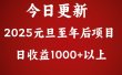 翻身项目，日收益1000+以上