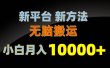 新平台新方法，无脑搬运，月赚10000+，小白轻松上手不动脑