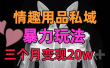 情趣用品私域，25年最新暴力玩法，三个月变现20w➕
