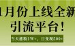 1月上线全新引流平台，当天涨粉1W+，日变现500+工具无脑涨粉，解放双手操作简单