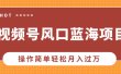 视频号风口蓝海项目，中老年人的流量密码，操作简单轻松月入过万