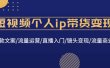 短视频个人ip带货变现：爆款文案/流量运营/直播入门/镜头变现/流量商业