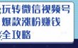 玩转微信视频号爆款涨粉赚钱全攻略，让你快速抓住流量风口，收获红利财富