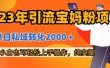 2023年引流宝妈粉项目，单日私域转化2000＋，新手小白也可轻松上手操作，纯实操