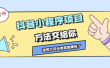 抖音小程序项目，方法交给你，按照方法去做就行了