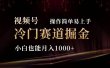 2024视频号冷门赛道掘金，操作简单轻松上手，小白也能月入1000+