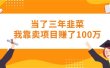 当了三年韭菜我靠卖项目赚了100万