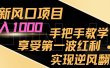 最新风口项目，日入过千，抓住当下风口，享受第一波红利，实现逆风翻盘