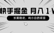 快手项目，长期稳定，月入1W，纯小白都可以干的项目