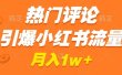热门评论引爆小红书流量，作品制作简单，广告接到手软，月入过万不是梦