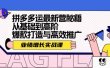 拼多多运最新营秘籍：业绩 增长实战课，从基础到高阶，爆款打造与高效推广
