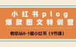小红书 plog爆款图文特训营，教你从0-1做小红书（9节课）