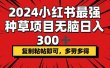 2024小红书最强种草项目，无脑日入300+，复制粘帖即可，多劳多得