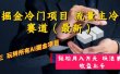 AI掘金冷门项目 流量主冷门赛道（最新） 举一反三 玩法单日收益上万元