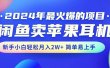2024年最火爆的项目，闲鱼卖苹果耳机，新手小白轻松月入2W+简单易上手
