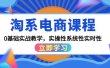 淘系电商课程，0基础实战教学，实操性系统性实时性（15节课）