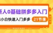 新人0基础拼多多入门，纯小白快速入门多多（21节课）