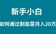新手小白如何通过割韭菜月入 20W