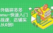 海外版拼多多Temu-快速入门实战课，店铺实战从0到1（12节课）