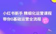 小红书新手 精细化运营课程，带你0基础运营全流程（41节视频课）
