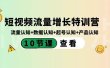 短视频流量增长特训营：流量认知+数据认知+起号认知+产品认知（10节课）