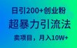 超暴力引流法，日引200+创业粉，卖项目月入10W+