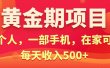 黄金期项目，电商搞钱！一个人，一部手机，在家可做，每天收入500+