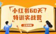 小红书60天特训实战营（系统课）从0打造能赚钱的小红书账号（55节课）
