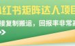 小红书矩阵达人项目，直接复制搬运，回报率非常高