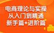 电商理论与实操从入门到精通 新手篇+进阶篇