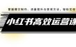 小红书高效运营课：掌握爆文制作、流量提升与变现方法，轻松实现盈利