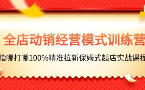 全店动销-经营模式训练营，指哪打哪100%精准拉新保姆式起店实战课程