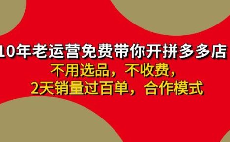 拼多多-合作开店日入4000+两天销量过百单，无学费、老运营教操作、小白…