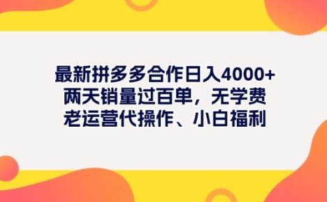 最新拼多多项目日入4000+两天销量过百单，无学费、老运营代操作、小白福利