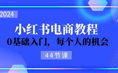 2024从0-1学习小红书电商，0基础入门，每个人的机会（44节）