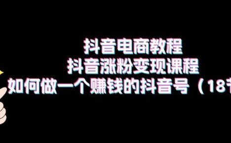 抖音电商教程：抖音涨粉变现课程：如何做一个赚钱的抖音号（18节）