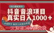 每天稳定1000＋抖音音浪项目稳定收益可当主业和副业