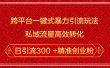 跨平台一键式暴力引流玩法，私域流量高效转化日引流300 +精准创业粉