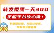 转发视频一天300+，正规平台放心做，不看播放量，无粉丝要求，随时随地赚收益