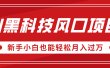 AI黑科技风口项目，视频号全新爆款玩法，新手小白也能轻松月入过万